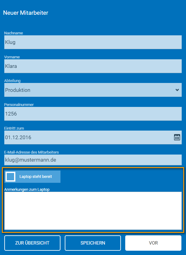 formular_it_laptop.png