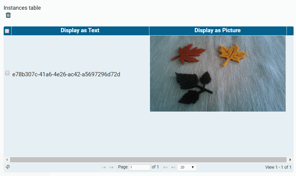 camera_r_overview_exe.png