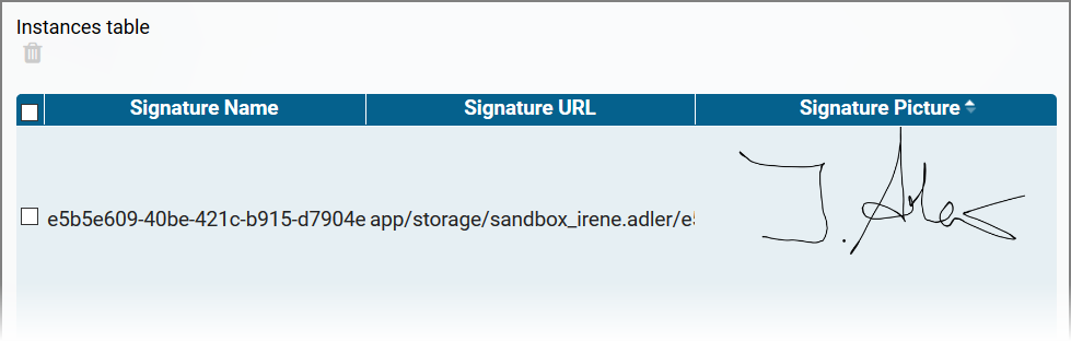 signature_r_overview_exe.png