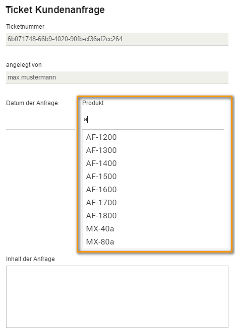 formular_ticket_ausführung_suchfeld_1.png