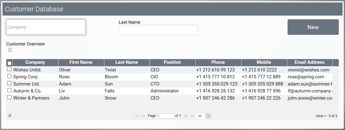 customer_database_overview.png