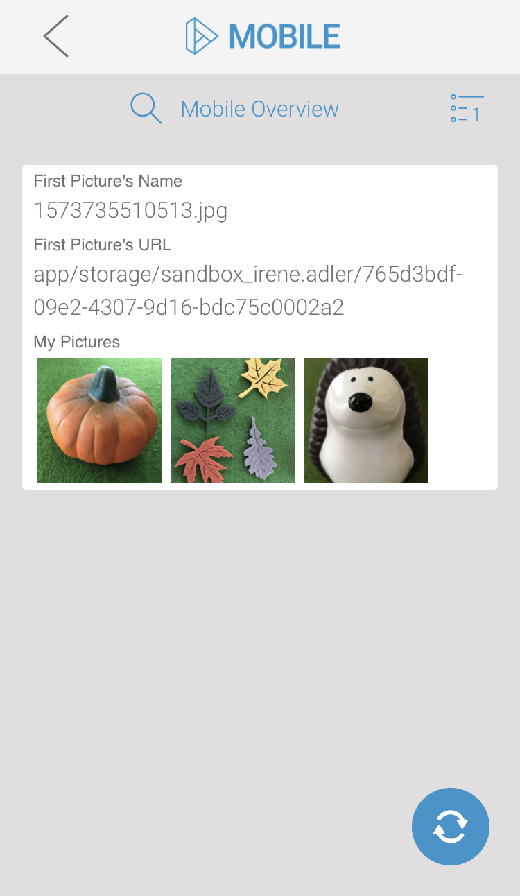 m_camera_m_overview_exe.png