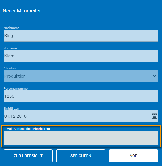 formular_it_email.png